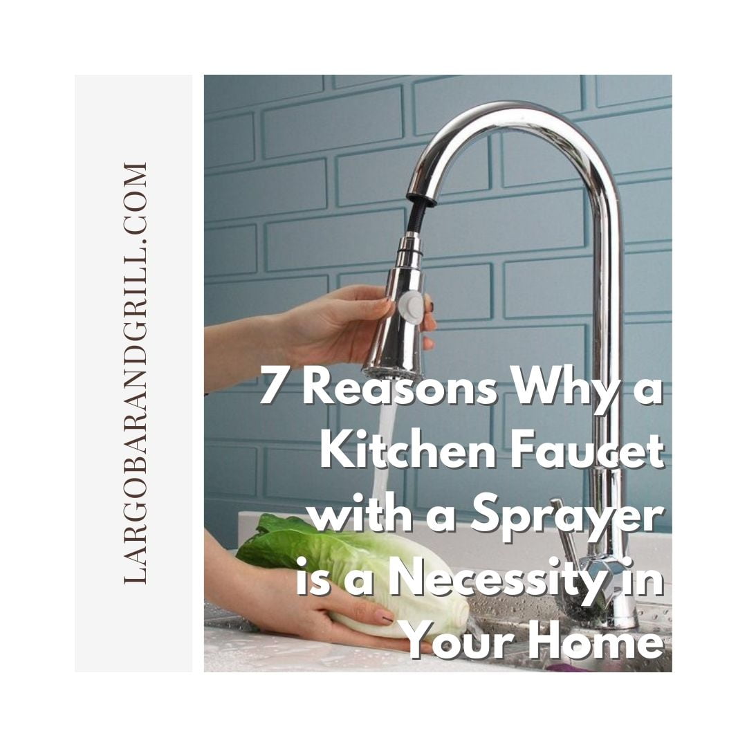 7 Reasons Why A Kitchen Faucet With A Sprayer Is A Necessity In Your Home 