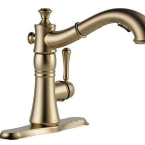 Delta Faucet Cassidy Pull Out Sprayer