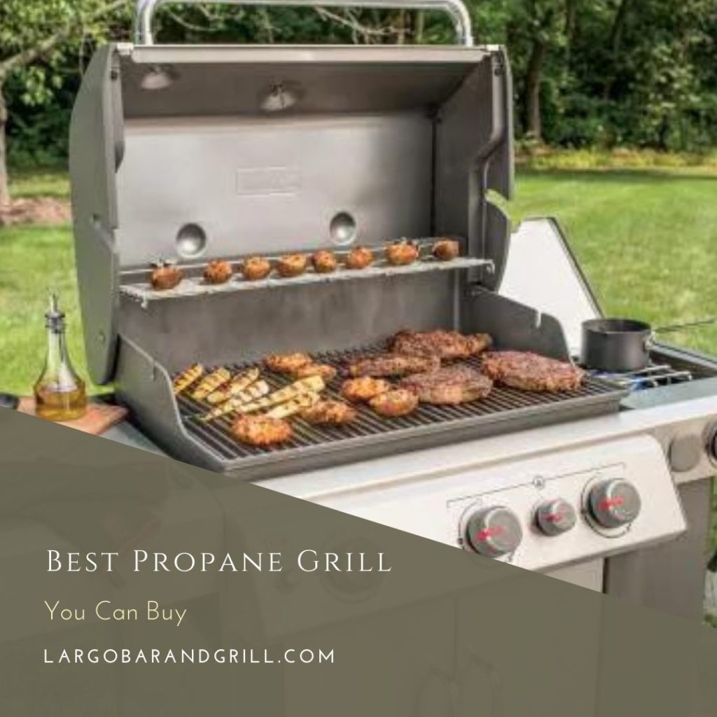 What Are The Different Kinds of Propane Gas Grills? Largo Bar & Grill