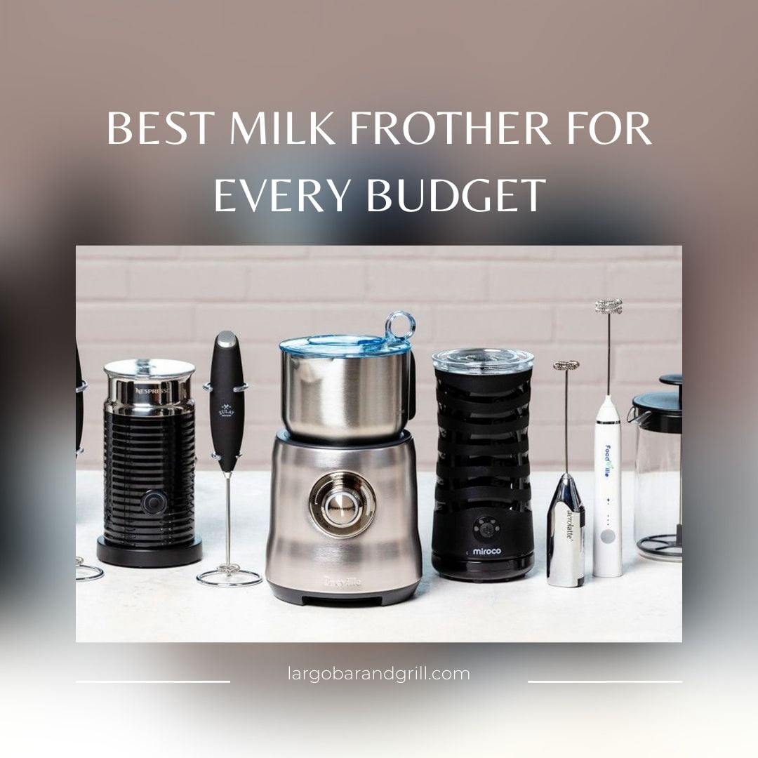 Best Milk Frother For Every Budget 2023 Largo Bar & Grill