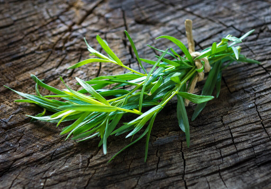15 Substitutes for Tarragon You Should Know 2023 Largo Bar & Grill